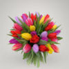multicoloured bunch of tulips