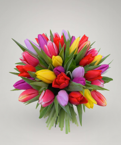 multicoloured bunch of tulips