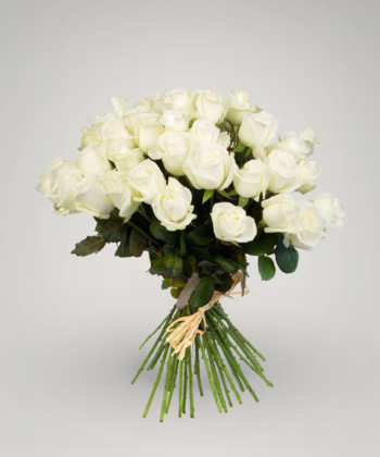 Bouquet of white roses "Purity"
