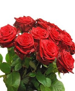 Rožių Red Naomi puokštė