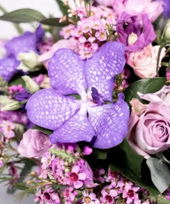 Violetinių, rožinių gėlių puokštė