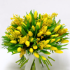 Geltonų tulpių puokštė su mimozomis