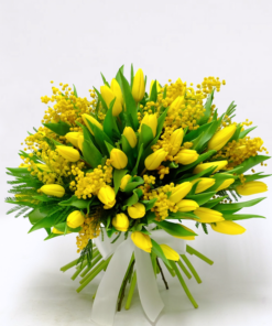 Geltonų tulpių puokštė su mimozomis