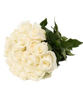 Baltų rožių puokštė