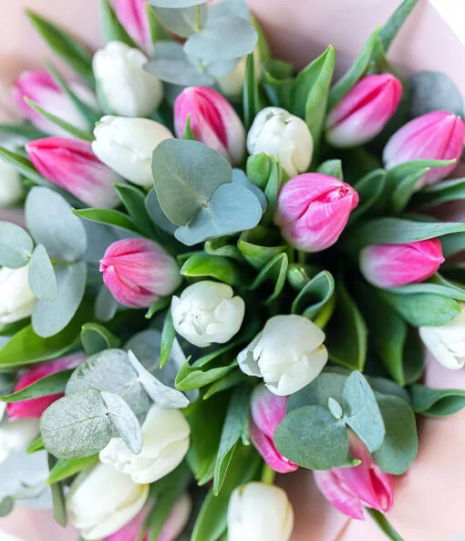 Bouquet of whote and pink tulips close view