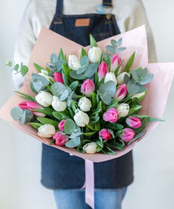 Bouquet of whote and pink tulips in the hands