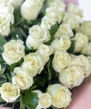 Bouquet of white roses