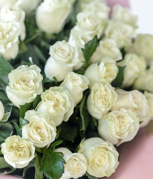 Bouquet of white roses