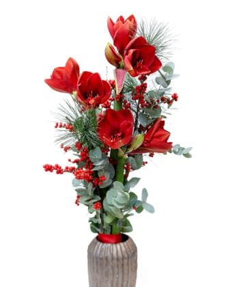 Танец амариллисов