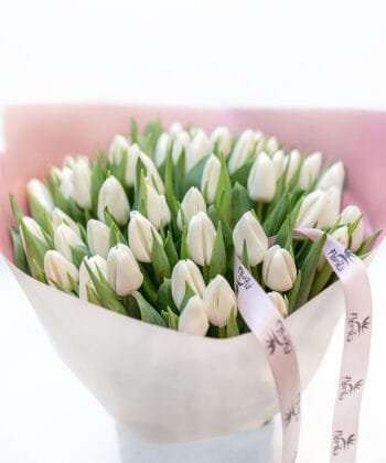 Bouquet of white tulips