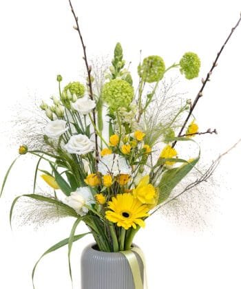 Alternative view of Puokštė Bundantis pavasaris