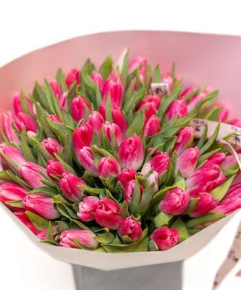 Букет из розовых тюльпанов
