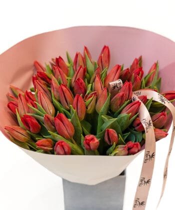 Raudonų tulpių puokštė