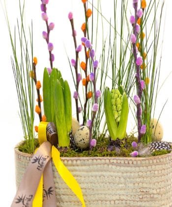 Alternative view of Pavasarinė kompozicija keramikiniame lovelyje