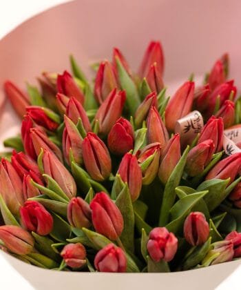 Alternative view of Raudonų tulpių puokštė