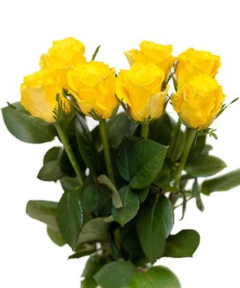 Alternative view of Желтая роза