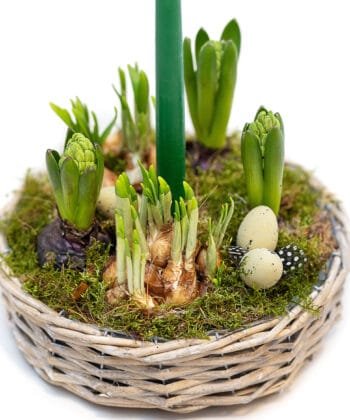 Alternative view of Easter interior composition