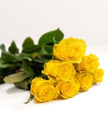 Желтая роза