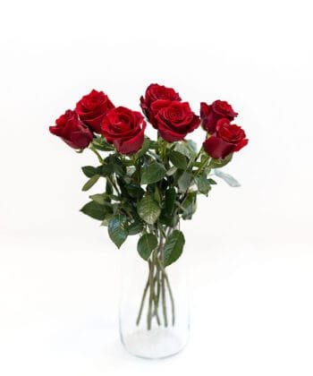 Alternative view of Красная роза