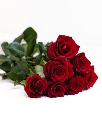 Красная роза