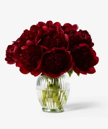 Alternative view of Red peonies